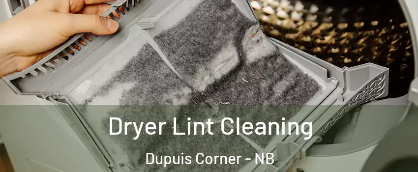  Dryer Lint Cleaning Dupuis Corner - NB