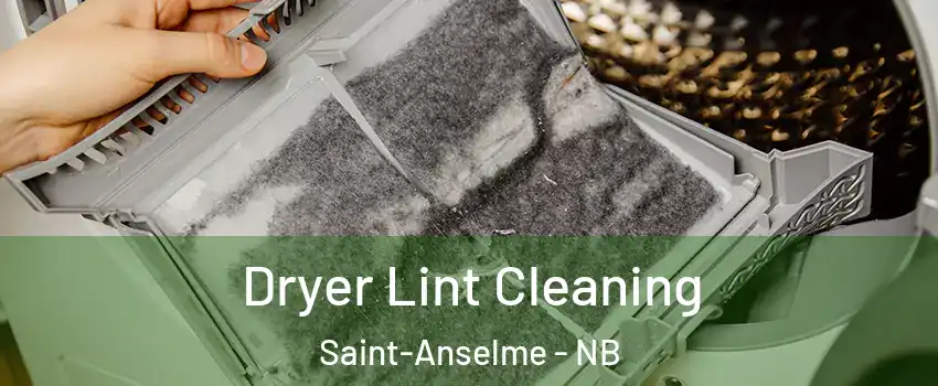  Dryer Lint Cleaning Saint-Anselme - NB