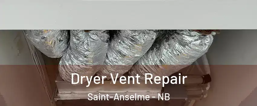  Dryer Vent Repair Saint-Anselme - NB