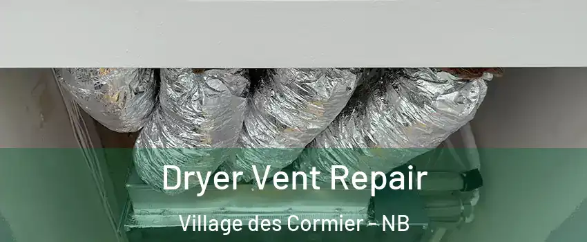  Dryer Vent Repair Village des Cormier - NB