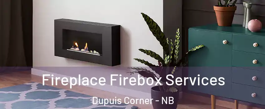  Fireplace Firebox Services Dupuis Corner - NB