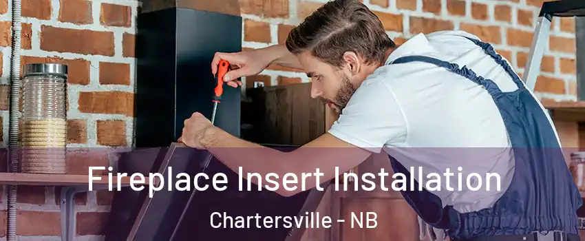  Fireplace Insert Installation Chartersville - NB