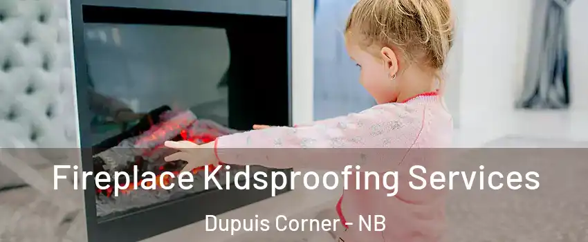  Fireplace Kidsproofing Services Dupuis Corner - NB