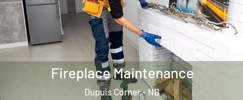  Fireplace Maintenance Dupuis Corner - NB