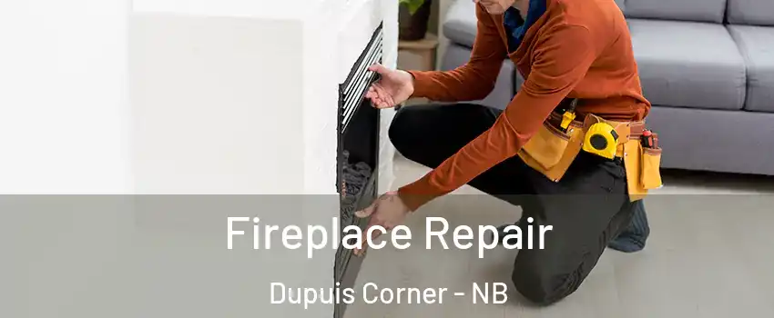  Fireplace Repair Dupuis Corner - NB