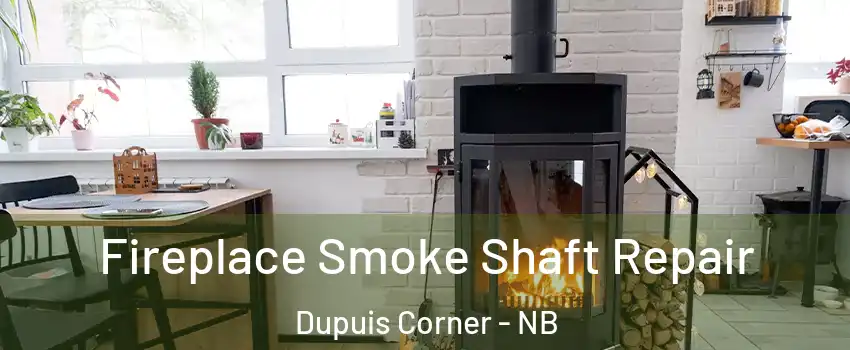  Fireplace Smoke Shaft Repair Dupuis Corner - NB