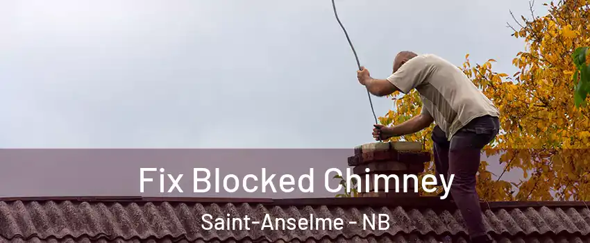  Fix Blocked Chimney Saint-Anselme - NB