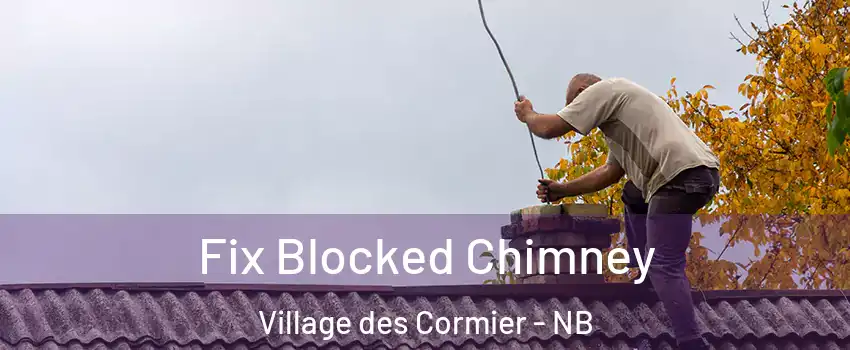  Fix Blocked Chimney Village des Cormier - NB