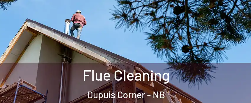  Flue Cleaning Dupuis Corner - NB