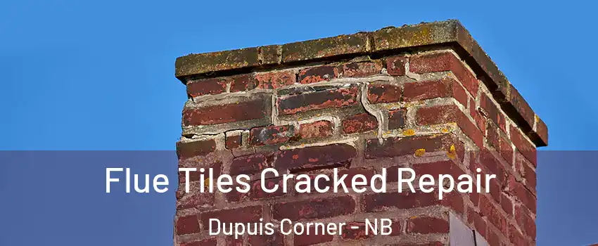  Flue Tiles Cracked Repair Dupuis Corner - NB