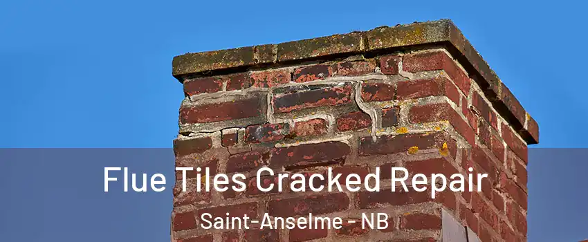  Flue Tiles Cracked Repair Saint-Anselme - NB