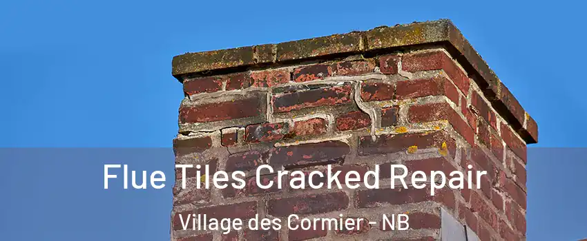  Flue Tiles Cracked Repair Village des Cormier - NB