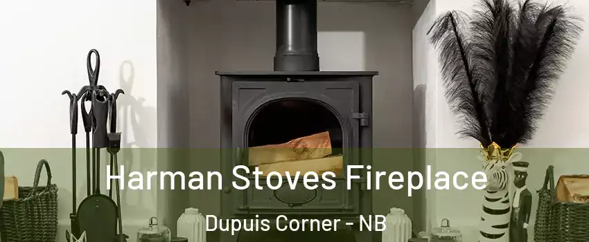  Harman Stoves Fireplace Dupuis Corner - NB