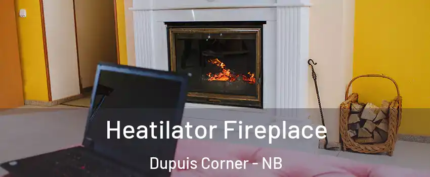  Heatilator Fireplace Dupuis Corner - NB