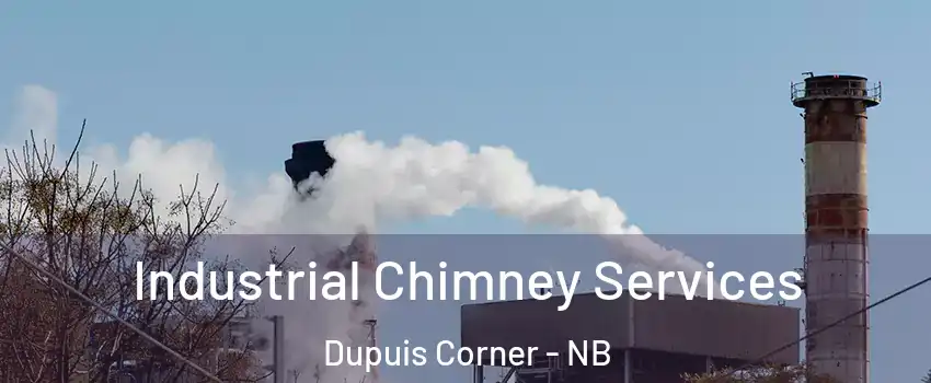  Industrial Chimney Services Dupuis Corner - NB