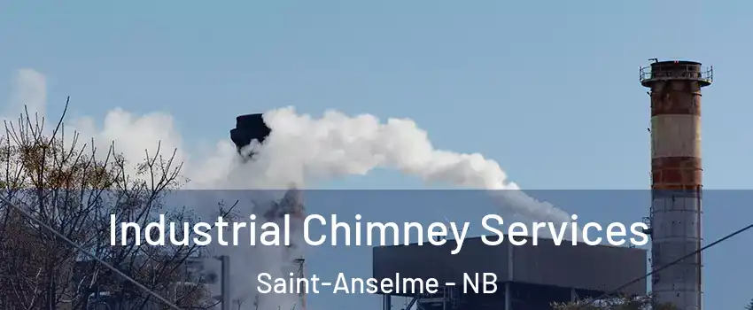  Industrial Chimney Services Saint-Anselme - NB