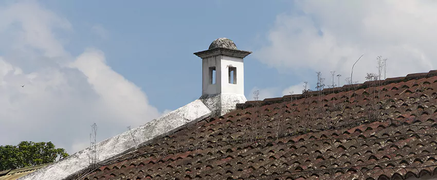 Wind-Resistant Chimney Caps Installation and Repair Services in Dupuis Corner, New Brunswick