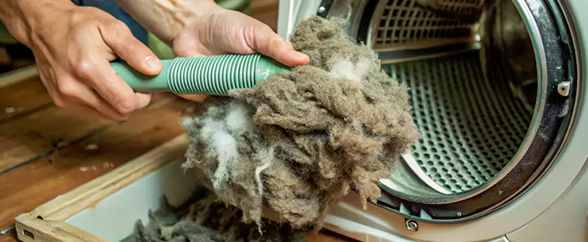 Best Dryer Lint Removal Company in Dupuis Corner, New Brunswick