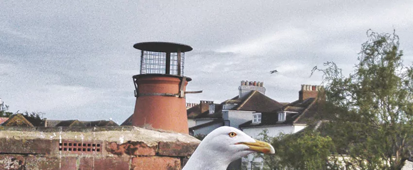 Chimney Cap Bird Guard Repair in Dupuis Corner, New Brunswick