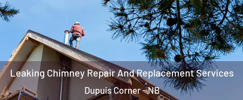  Leaking Chimney Repair And Replacement Services Dupuis Corner - NB
