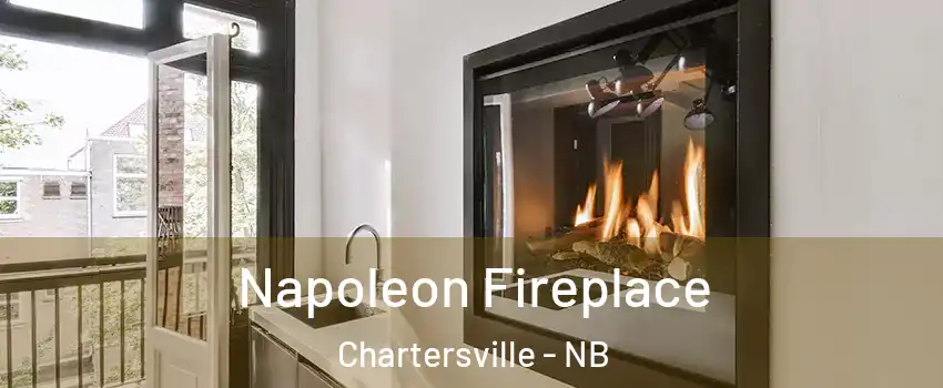  Napoleon Fireplace Chartersville - NB