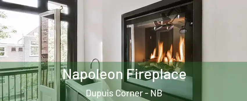 Napoleon Fireplace Dupuis Corner - NB