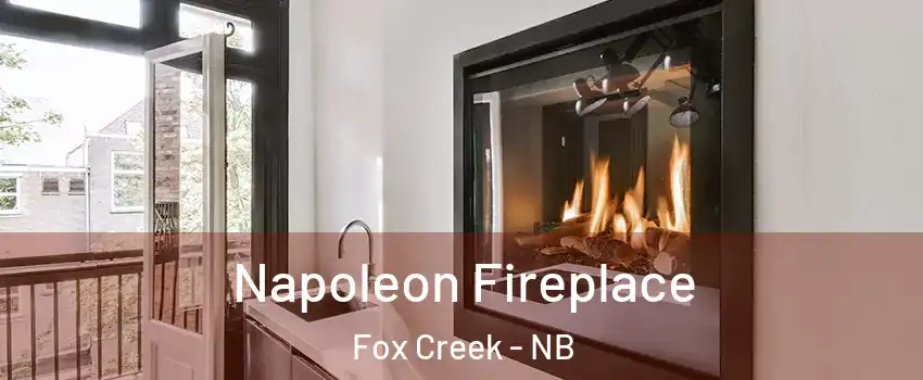  Napoleon Fireplace Fox Creek - NB