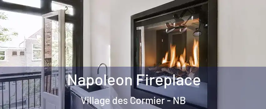  Napoleon Fireplace Village des Cormier - NB