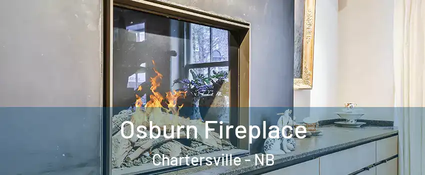  Osburn Fireplace Chartersville - NB