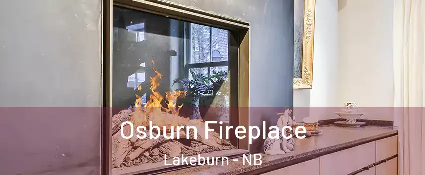  Osburn Fireplace Lakeburn - NB