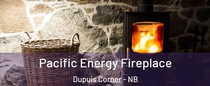  Pacific Energy Fireplace Dupuis Corner - NB