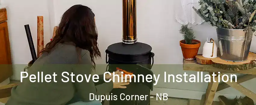  Pellet Stove Chimney Installation Dupuis Corner - NB