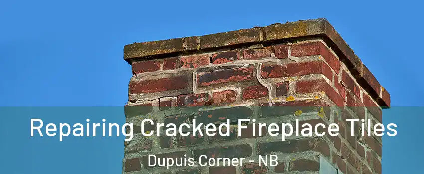  Repairing Cracked Fireplace Tiles Dupuis Corner - NB