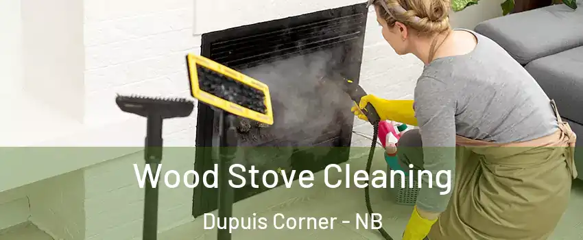  Wood Stove Cleaning Dupuis Corner - NB