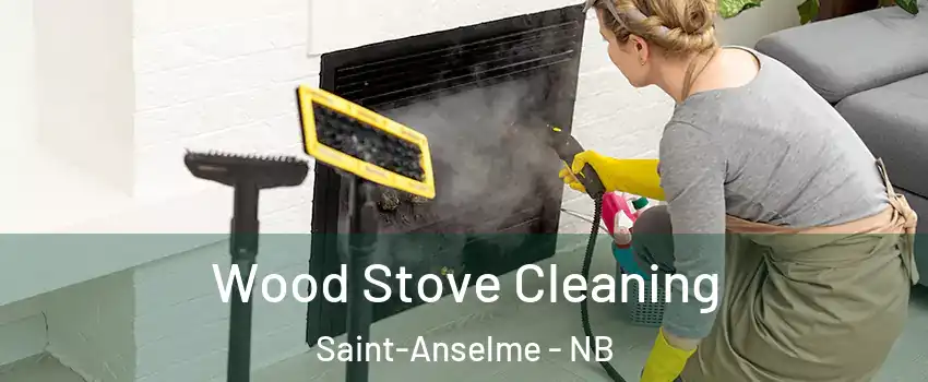  Wood Stove Cleaning Saint-Anselme - NB